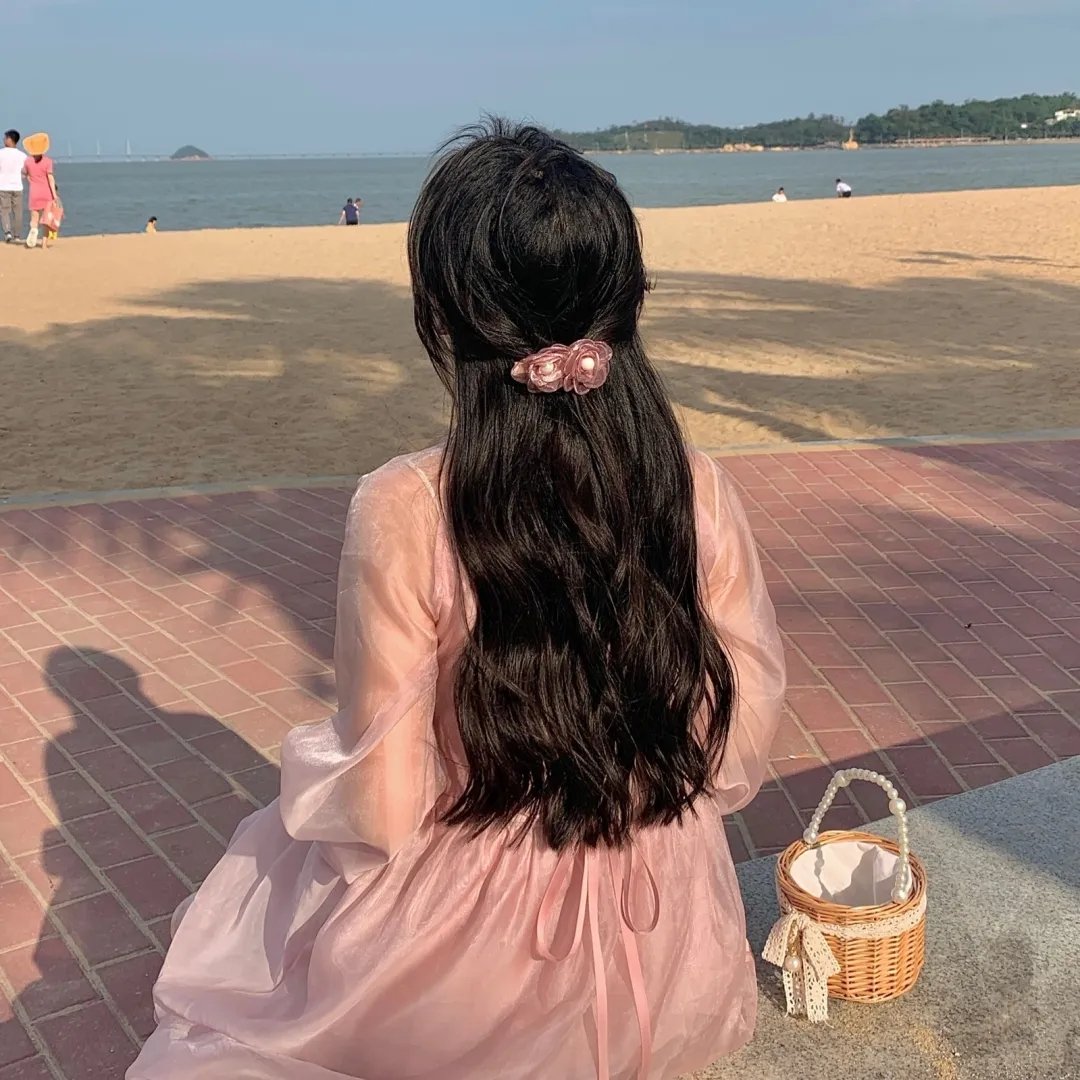 科搜研之女第24季